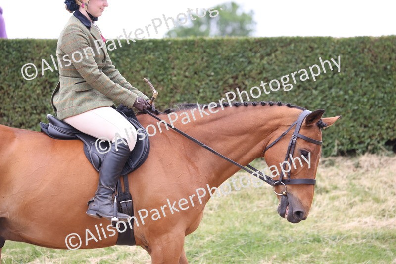 20250524-1341 - Class 16 - Hunter and Cob