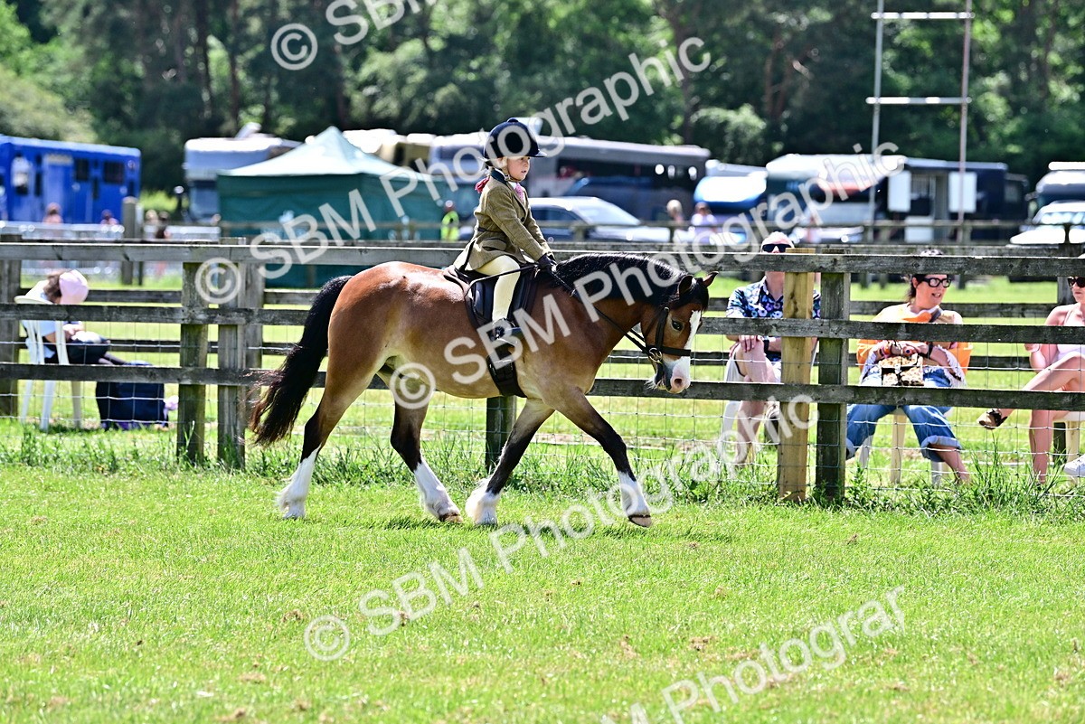 SBM_06019 - Class 59-60 - TSR M&M  Lear Rein and First Ridden Amateur of the year