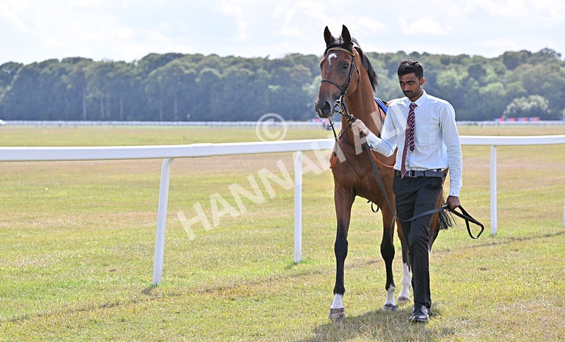 220826-028 Infraad - Race 2 14.25pm Sky Bet Melrose Handicap