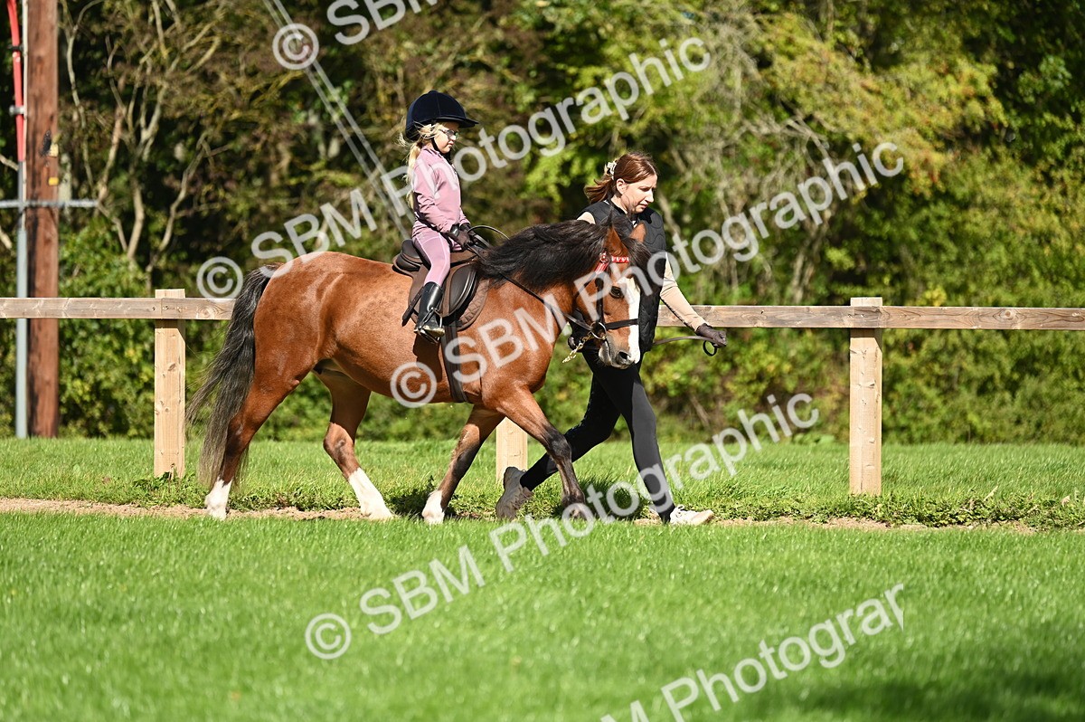 SBM_02813 - S3 - TSR Ridden Pony Showing