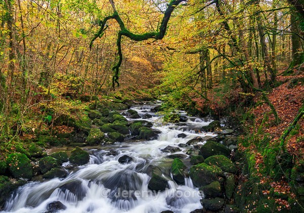 M332 - Snowdonia & Mid-Wales p/c catalogue