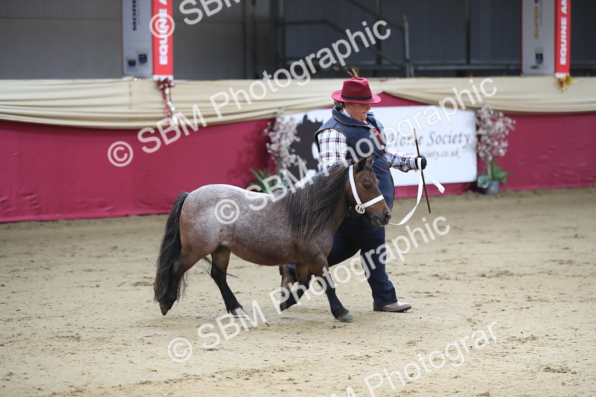 SBM_01335 - Class 3a Area IH Pre Vet