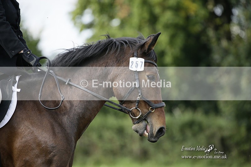 BVRC 120921 289 - Bourne Valley Riding Club UA Dressage & Show Jumping 12/09/21