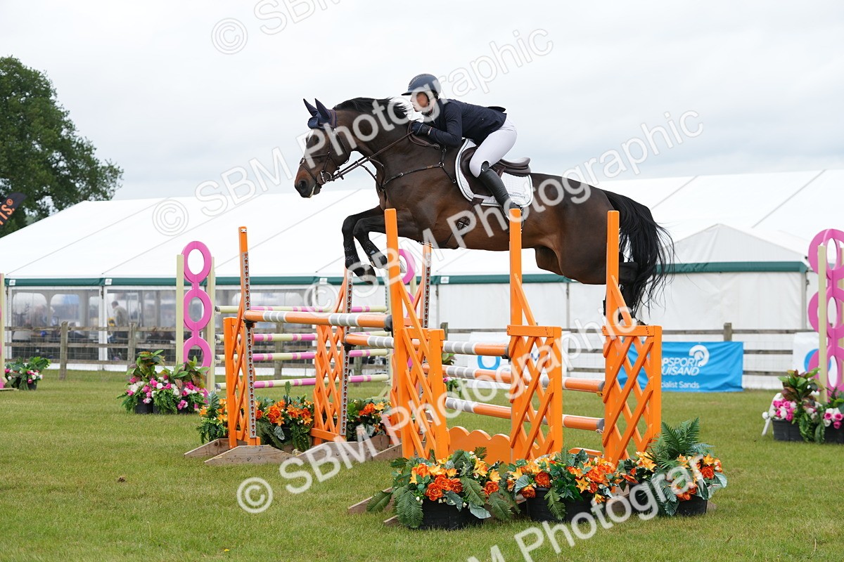 SBM_03066 - Class 201 - British Horse Feeds Speedi Beet Horse of the Year Show Grade  C