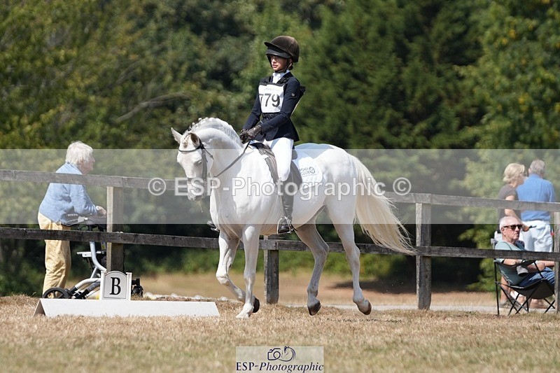 250823A-132749-31181 - Arena A