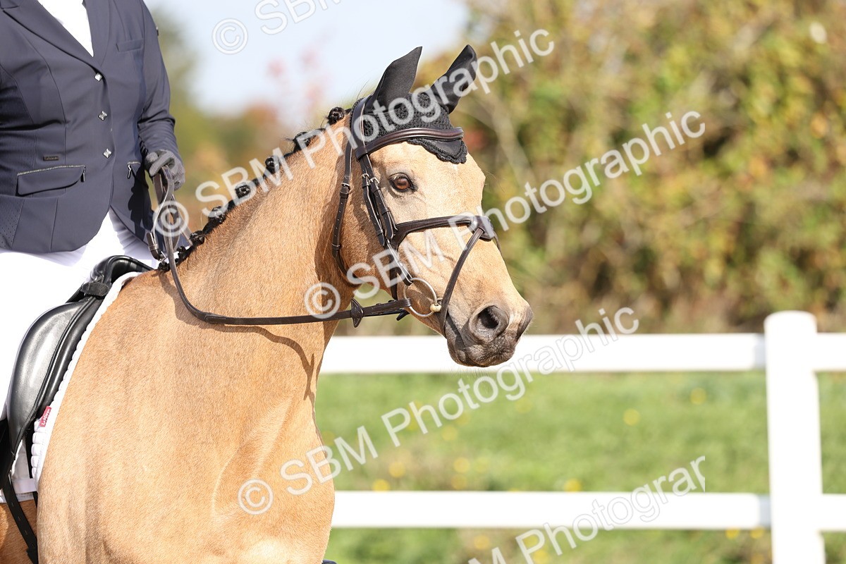 SBM_001356 - Class 3 - Novice 4