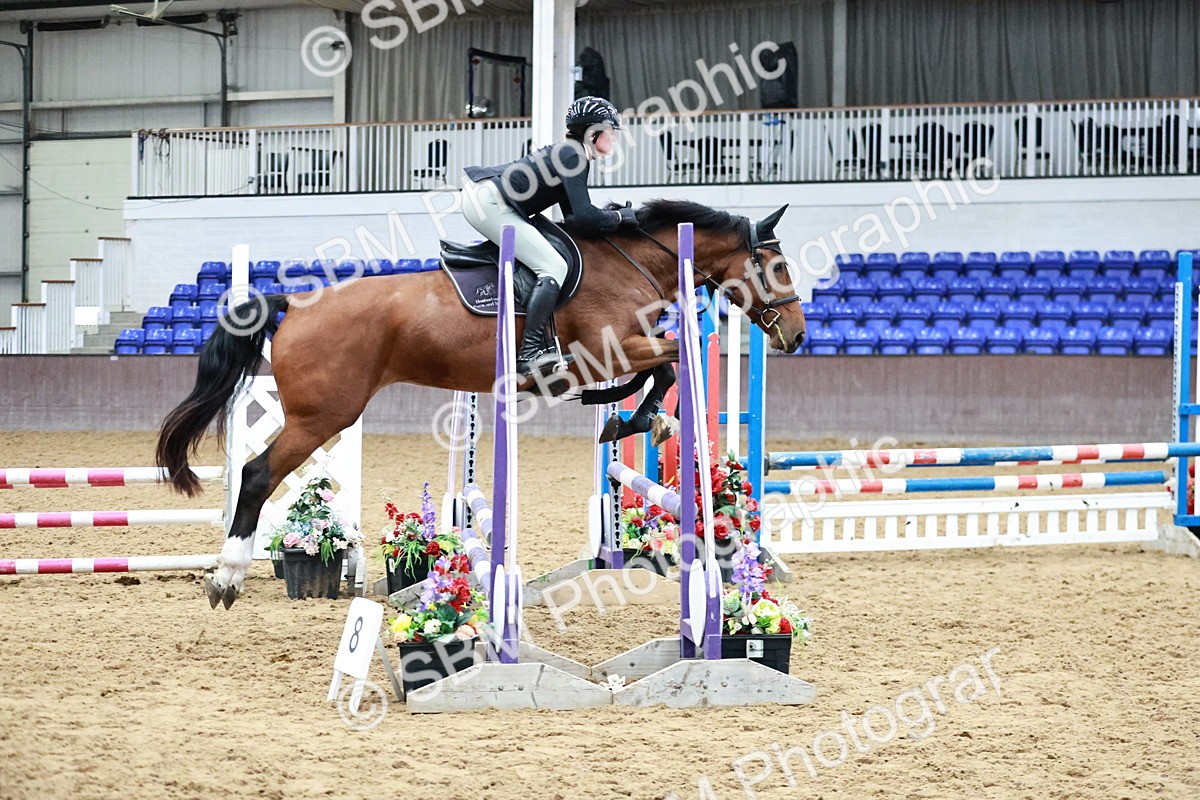 SBM_000278 - Class 1 - Clear Round Show Jumping 80cm