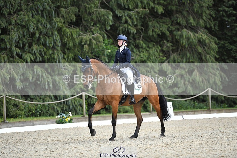 230525-154339-03292 - 329-VINTAGE_GRAFFITI-Alice_Hallows-WEDTrotUp+DR