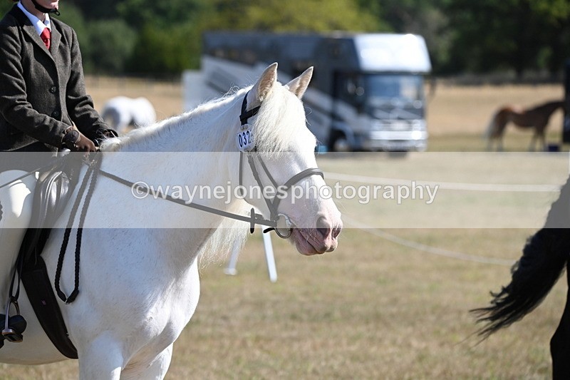 WJ6_7633 - Class 34 Judges Choice