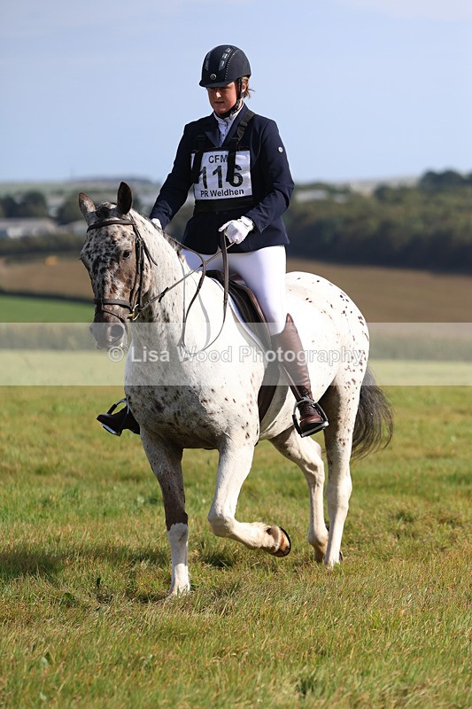 3E7A6042 - Class 1: Trebudannon Open: Dressage (Part 2)