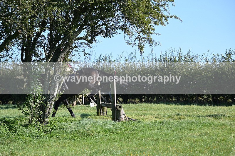 WJ6_6354 - Time 09:51 to 10:03