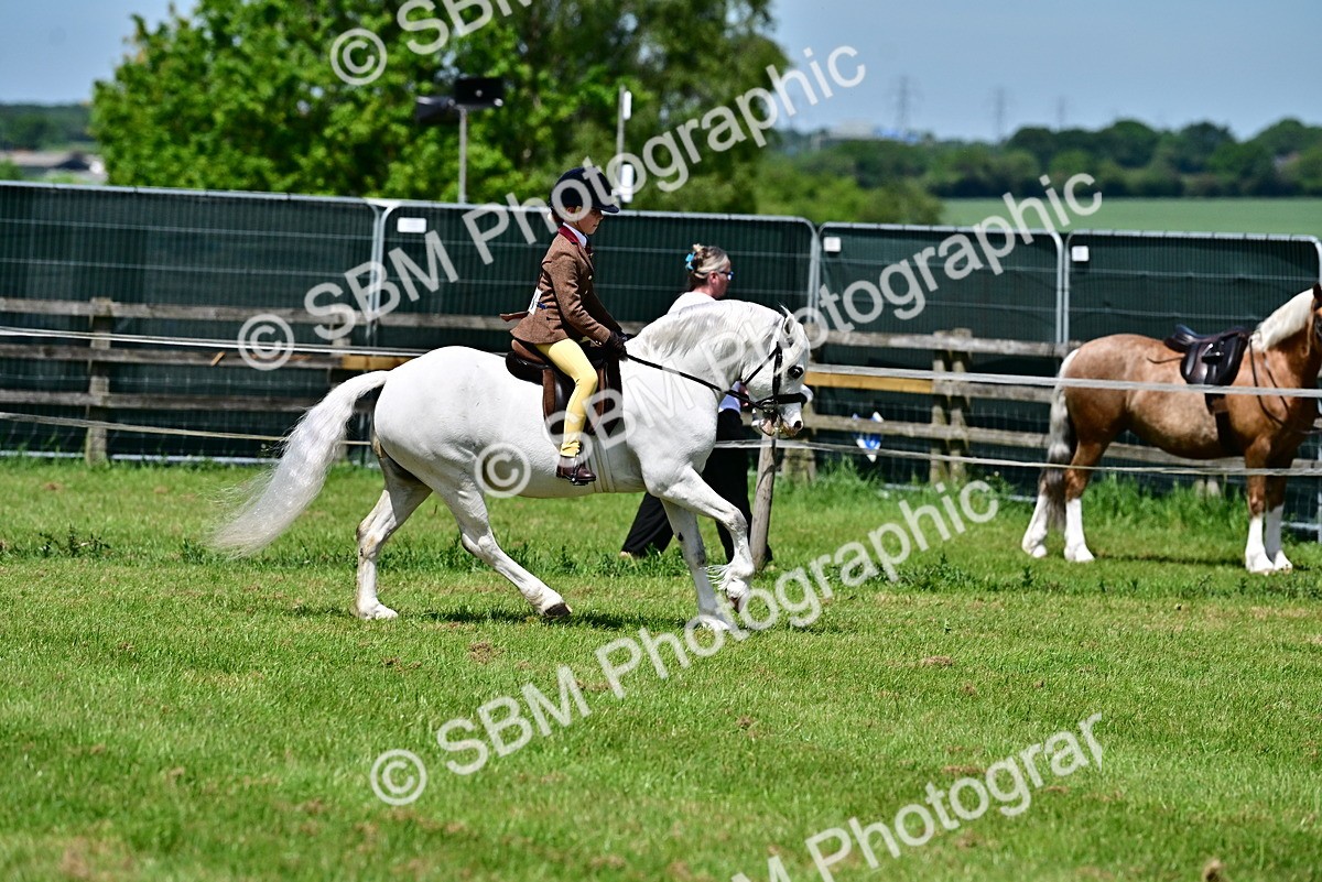 SBM_06063 - Class 59-60 - TSR M&M  Lear Rein and First Ridden Amateur of the year