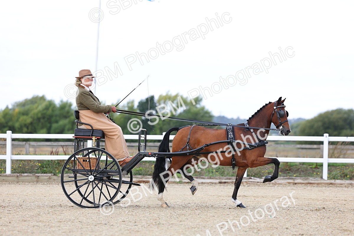 SBM_000267 - Class 2 - Exercise Vehicle 13.2hh & Under
