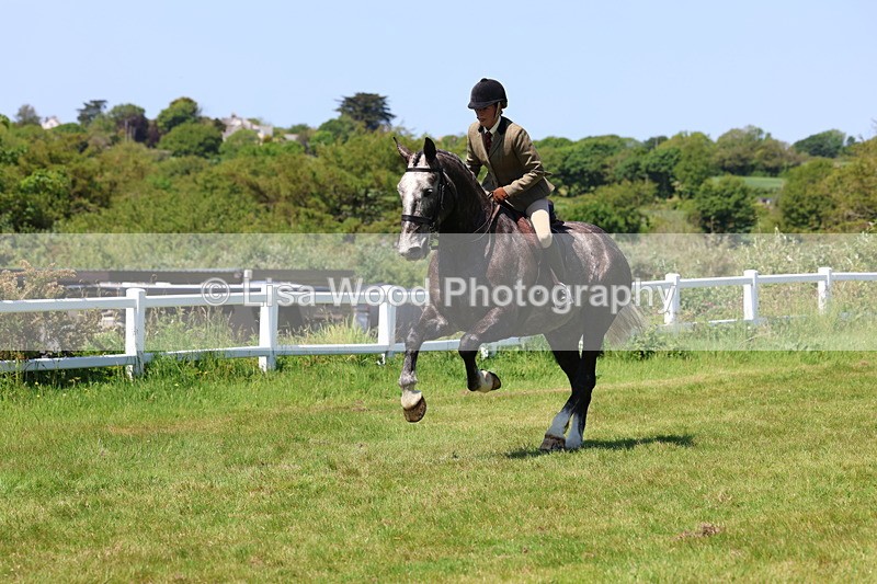 3E7A8400 - Class 13: Ridden Hunter