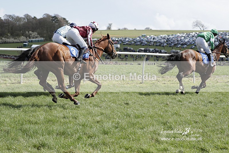 PtP 100423 508 - Old Berkshire Point-to-Point Lockinge 10/04/23
