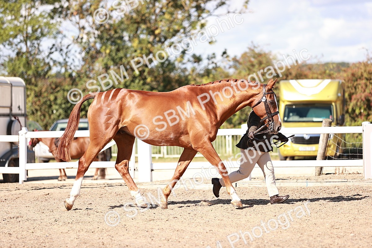 SBM_13324 - class 406 - IH Hunter
