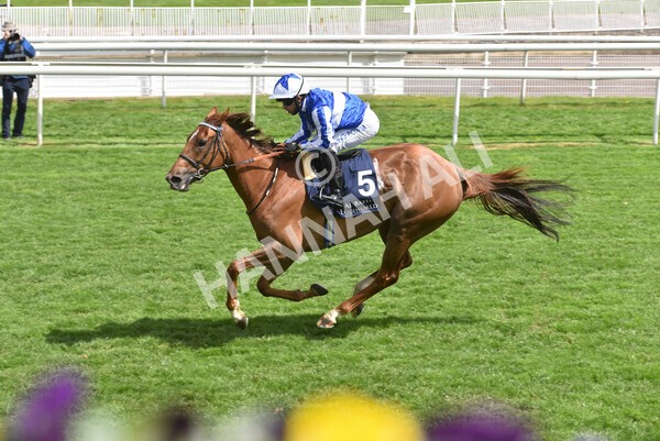 yr13052021r2-15 - Race 2 2.10pm Al Basti Equiworld Dubai Middleton Fillies' Stakes