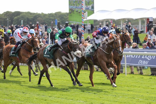 yr12052022r3-26 - Race 3 3.00pm The Paddy Power Hambleton Stakes
