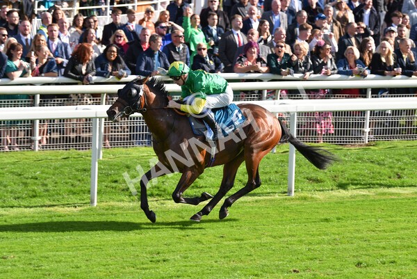 yr08102022r1-37 - Race 1 1.30pm The Coral Play 'Racing-Super-Series' for Free Nursery Handicap