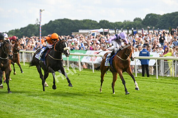 yr11062022r8-22 - Race 8 5.25pm Clean up with PPS Stakes