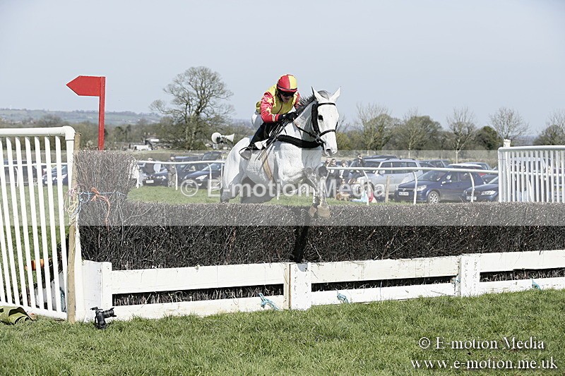 PtP 260317 137 - Mendip Farmers Point-to-Point Ston Easton 26/03/17
