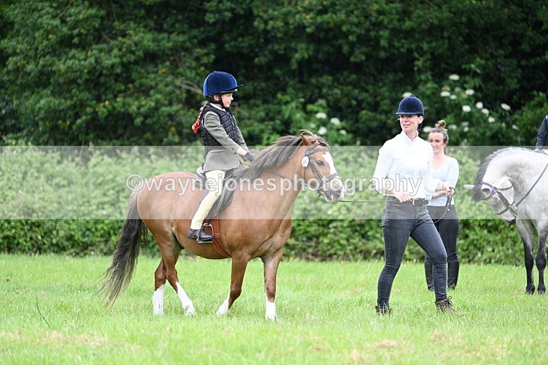 WJ7_4000 - Class 14A Handsome Gelding