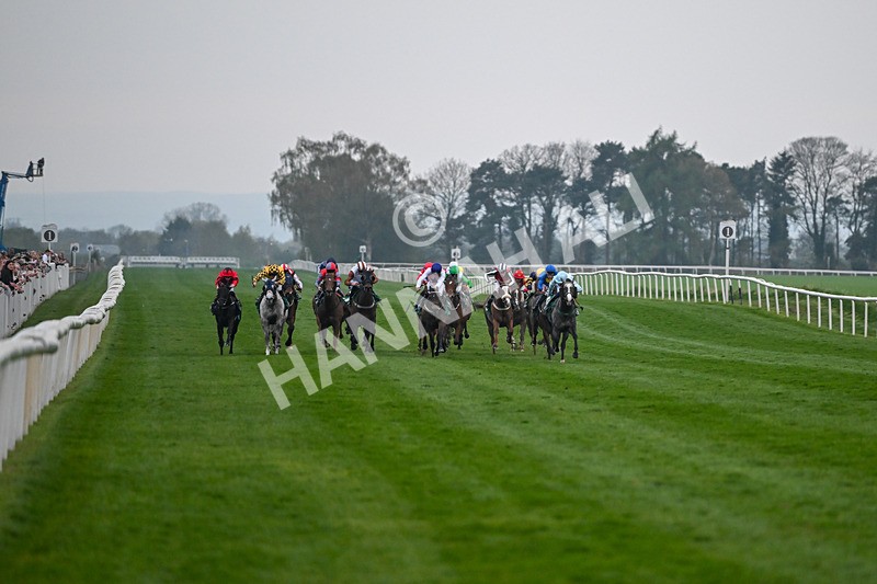 120425-Race 8-Emerald Army-1678 - Race 8