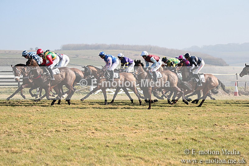 PtP 230219 53 - Vine & Craven Point-To-Point - Barbury 23/02/19