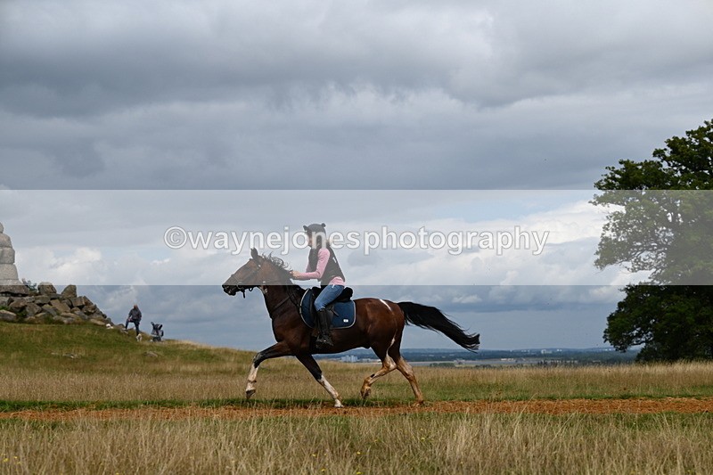 DSC_7943 - Time at Statue 13:16 to 13:52