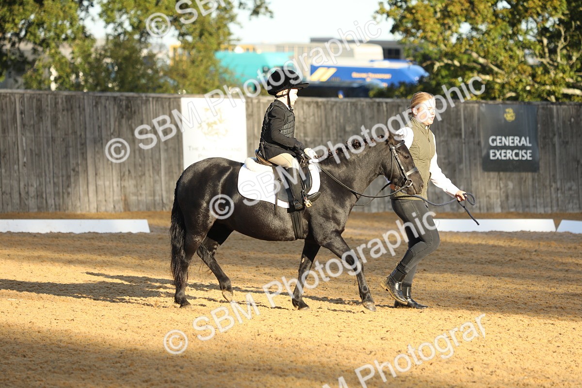 SBM_33568 - D26 - Starers - Lead Rein