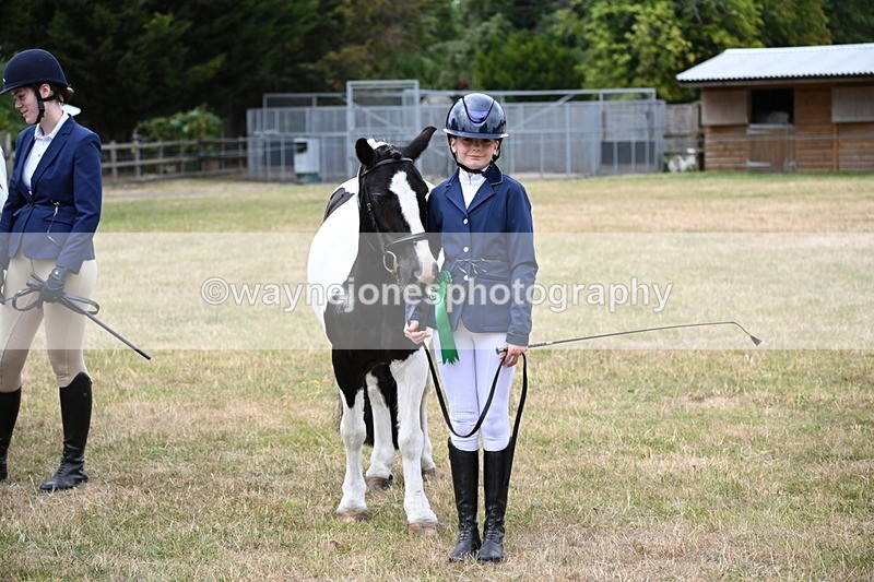 WJ6_4493 - Class 10 Coloured In-hand
