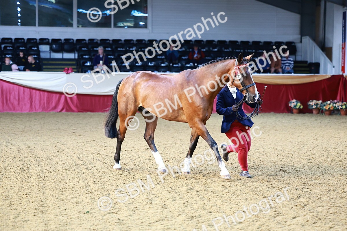 SBM_21779 - Class 901 - Supreme Final - IH  Diamond