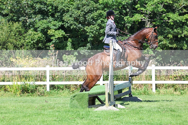 3E7A8302 - Class 4: Novice working Hunter