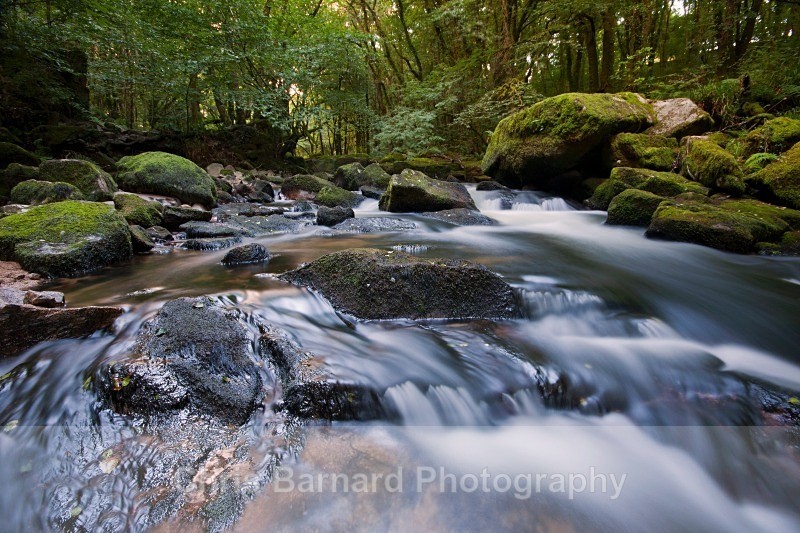 IMG_7702 - Golitha Falls