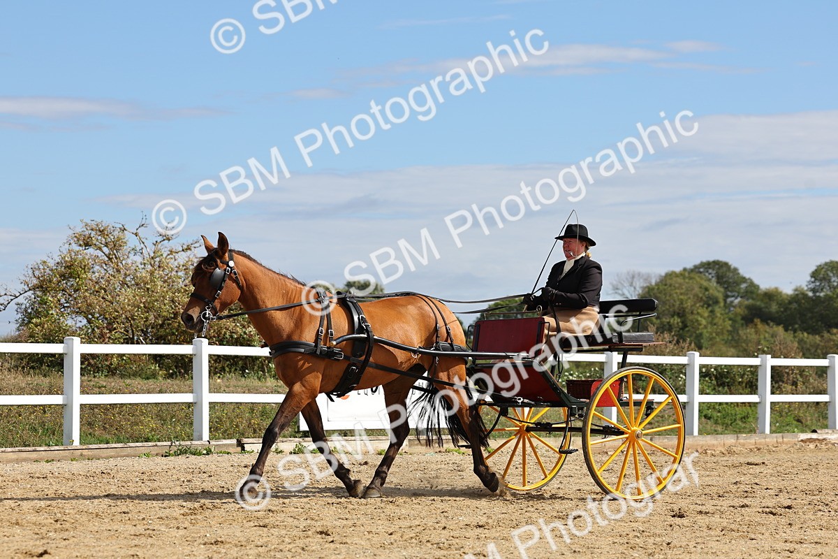 SBM_000914 - Class 8 - Novice Horse or Pony to any vehicle