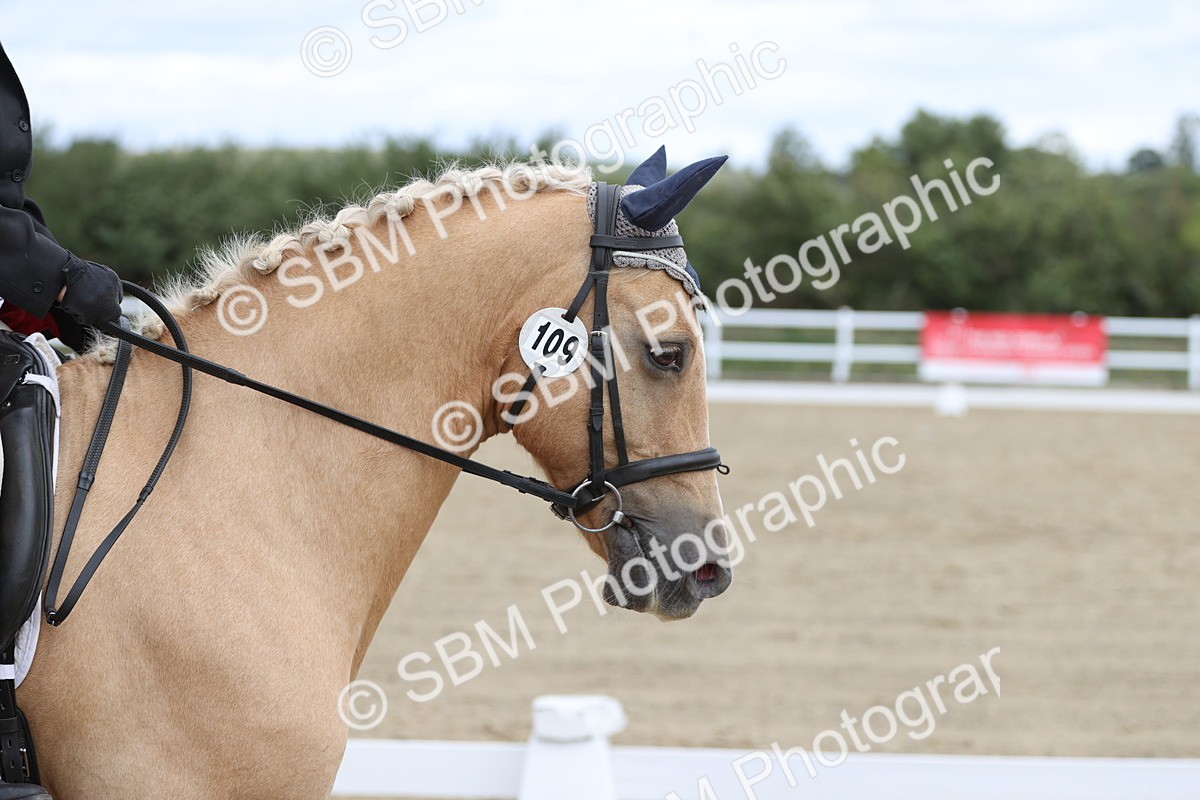 SBM_002877 - Class 6 - Prelim 3 Champs