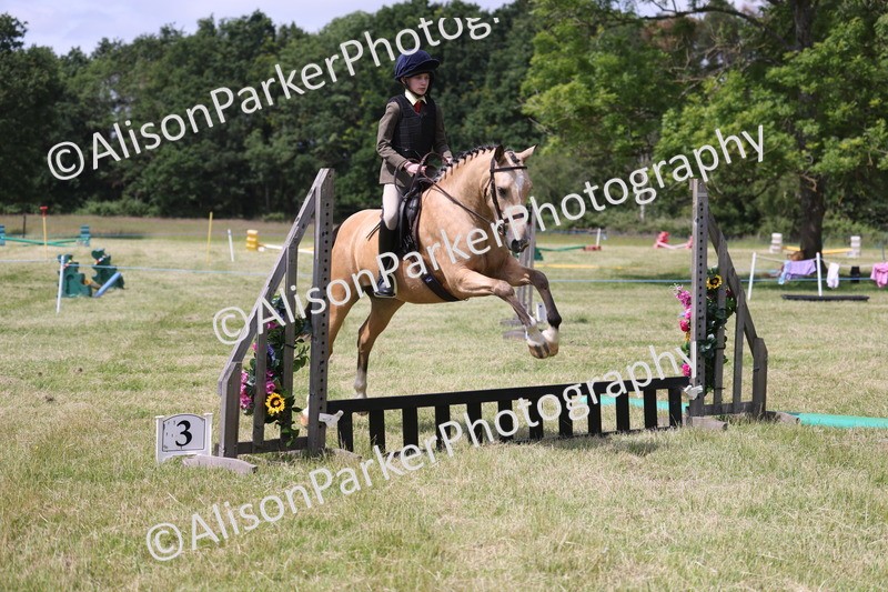 20260614-1774 - Class 21 - Novice Working Hunter Pony