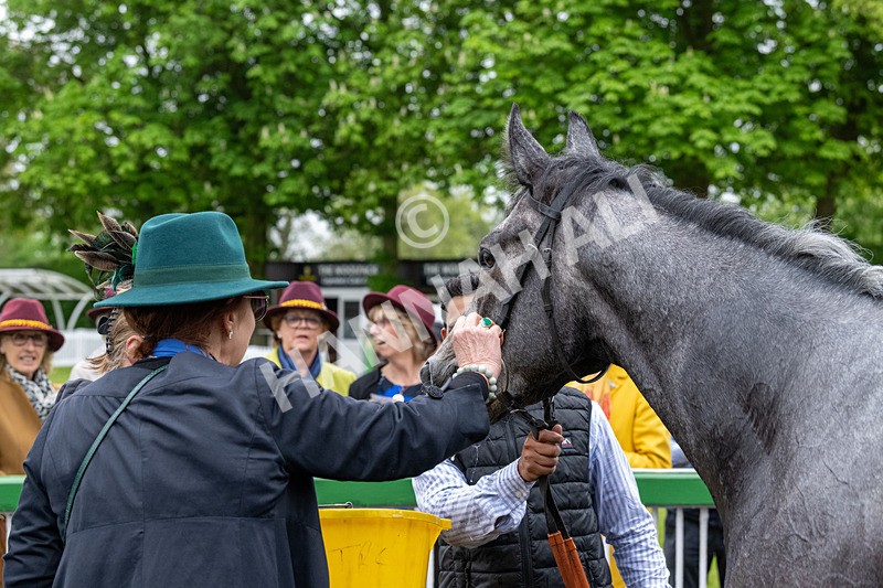 040524-Race 4-Star Of Lady M-4581 - Race 4