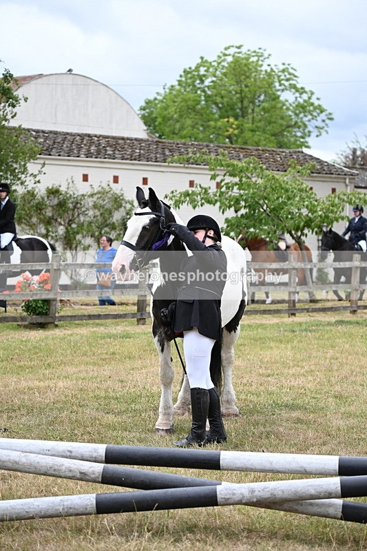 WJ6_4509 - Class 10 Coloured In-hand