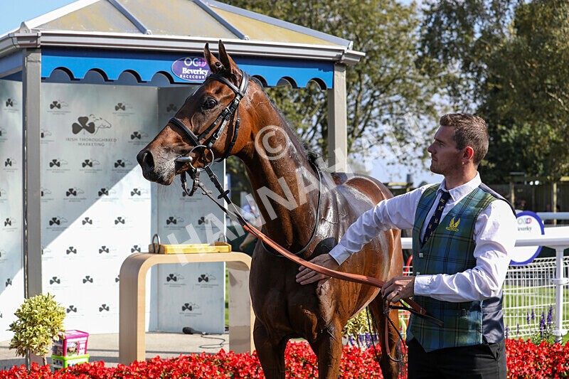 310824-Race 5-Bassadanza-1879 - Race 5