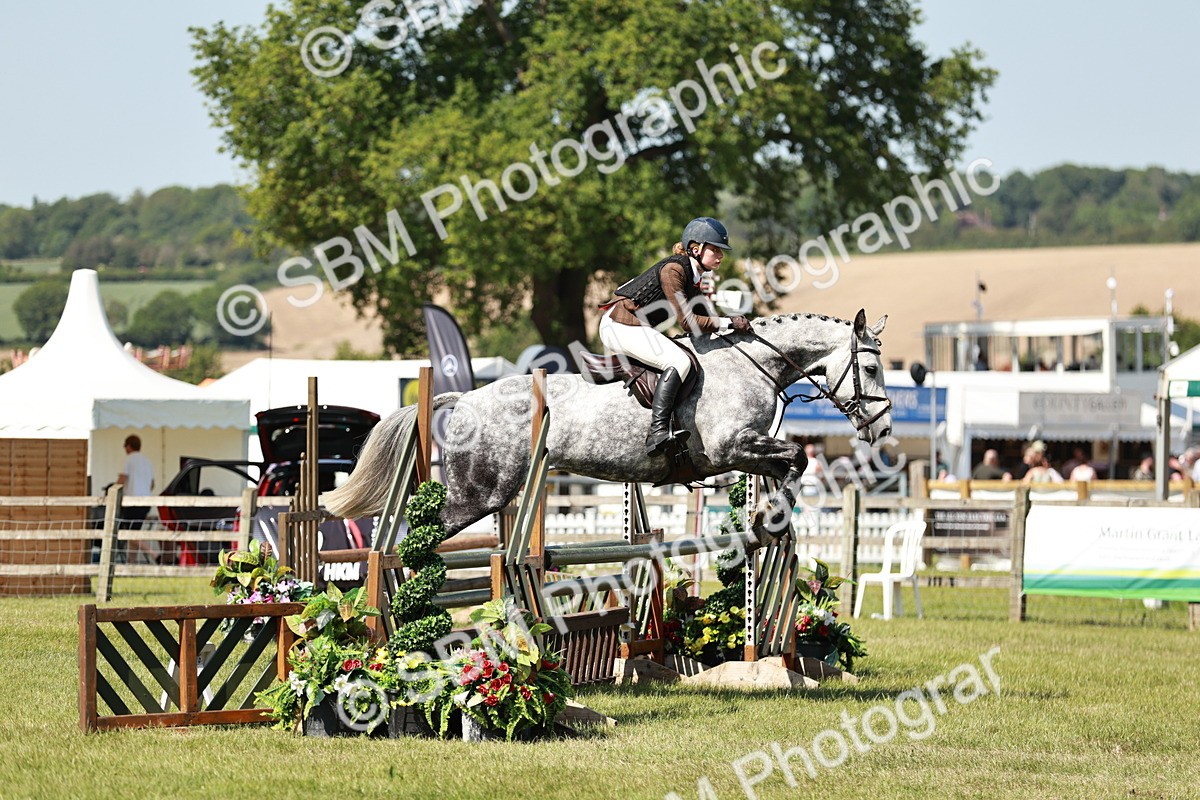 SBM_18368 - Class 112-113 - BSPS LIHS Working Sports Pony