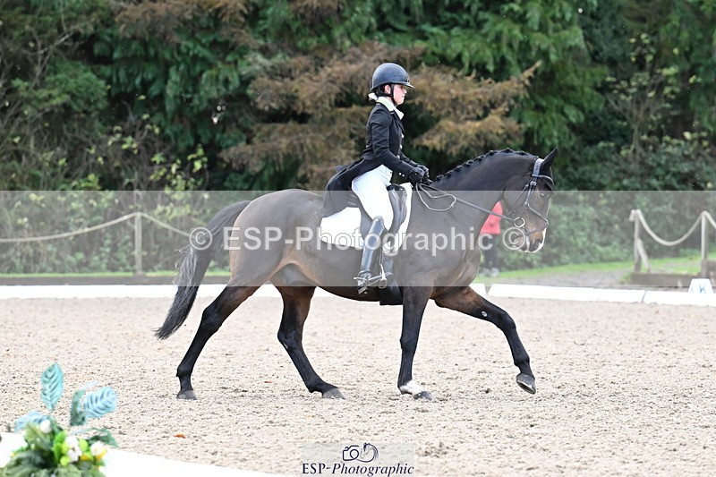 251023A-140408-05451 - B-148-Tarka.Abraham