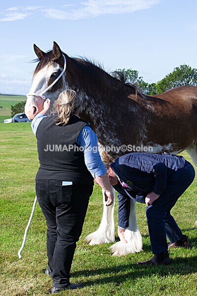 DSC_0054 - Ring 1