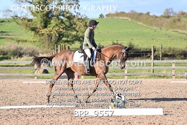 BPP_9557 - SHORT ARENA