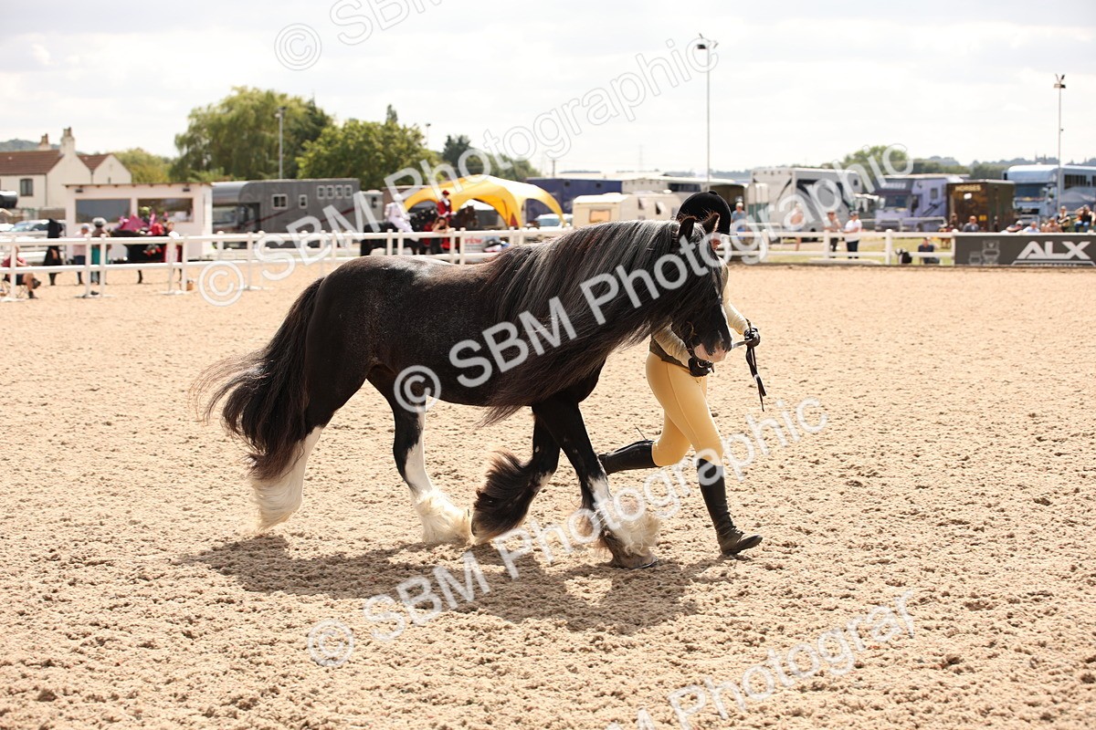 SBM_04641 - Class 20 IH Veteran