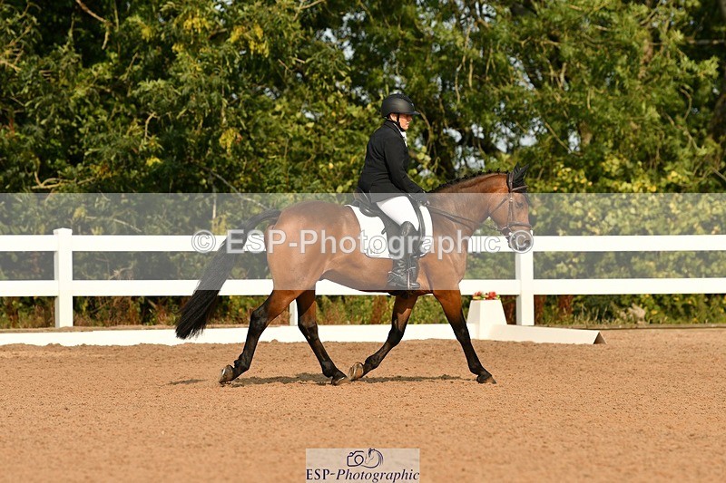 250817-092939-06937 - 049-Carolyn.GaleNewtown.Ringo