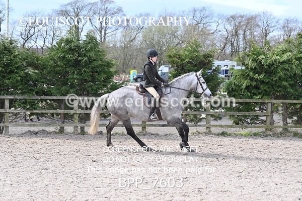 BPP_7603 - RING 1  (RIDDEN HORSES / IN HAND / VETERAN ETC)