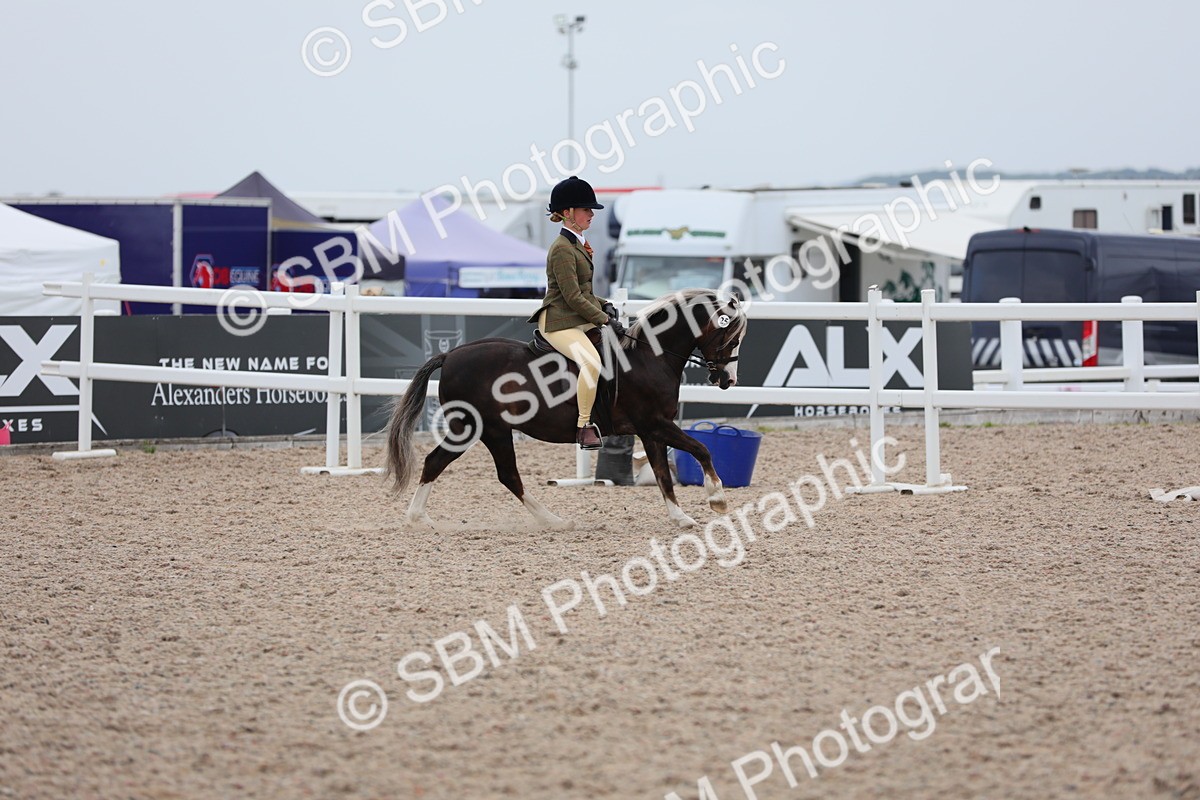 SBM_18122 - Class 316 Best Pony/Rider Combination