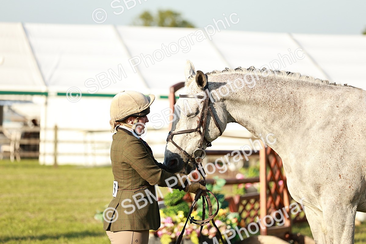 SBM_20553 - Class 117-119 - Sport Horse Working Hunter