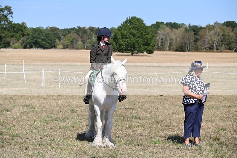 WJ6_9077 - Class 38 Ridden Riding Horse/Pony